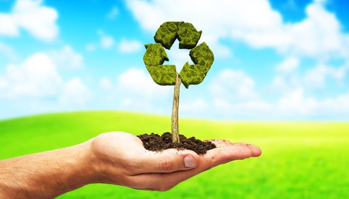 sustentabilidade sendo representada por uma arvore com símbolo de reciclagem